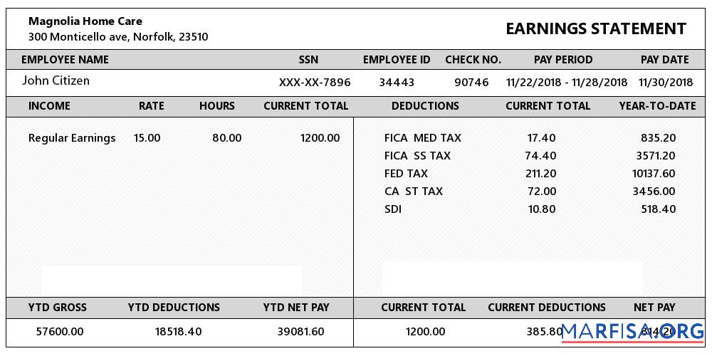 Printable USA Virginia Magnolia Home Care earning statement sample